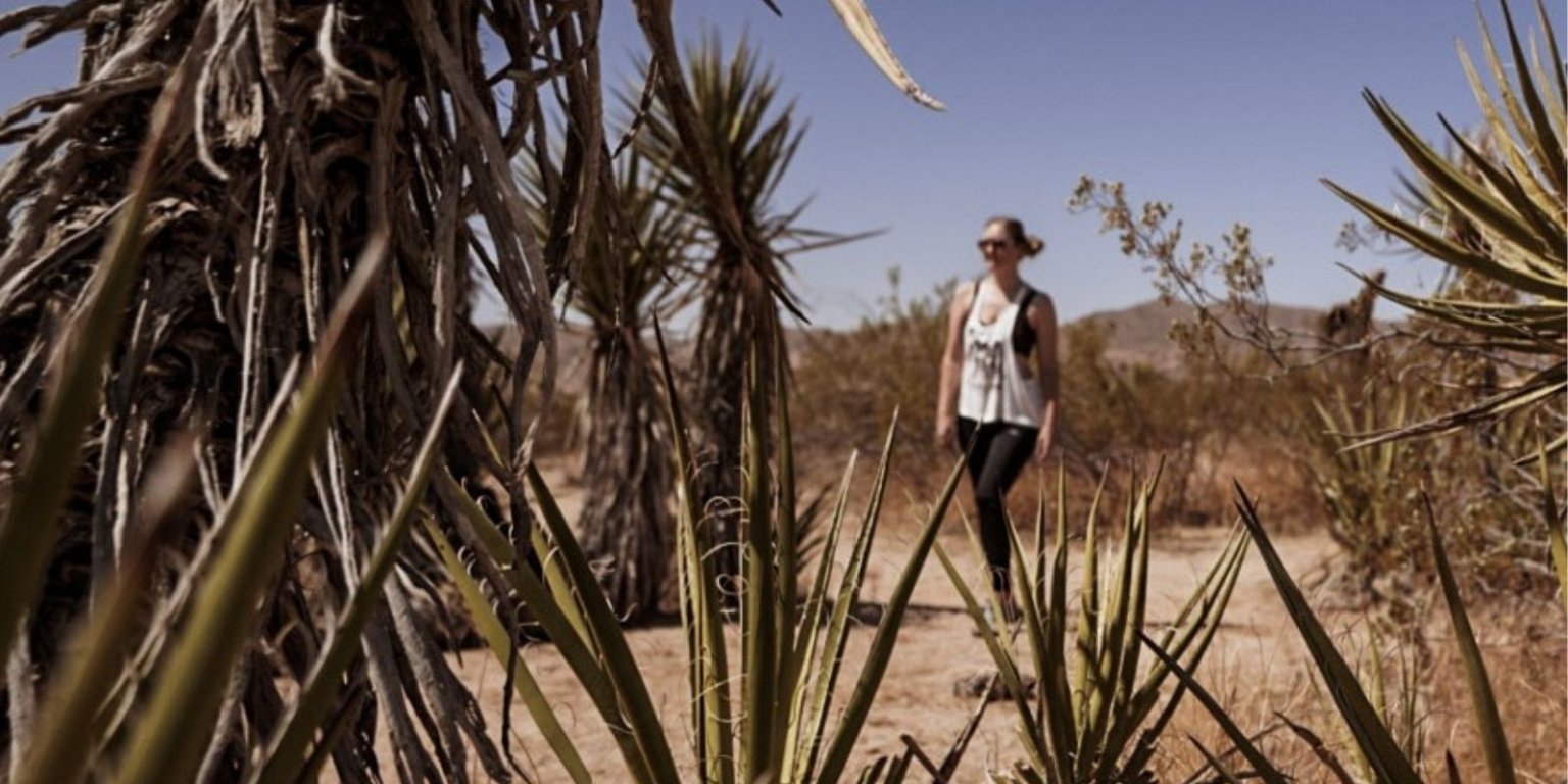 A Joshua Tree Photography Guide The Best Photo Spots In The Park