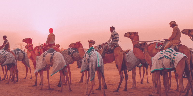 Top Trips to Take in Your 20's- Sunset in the Arabian Desert