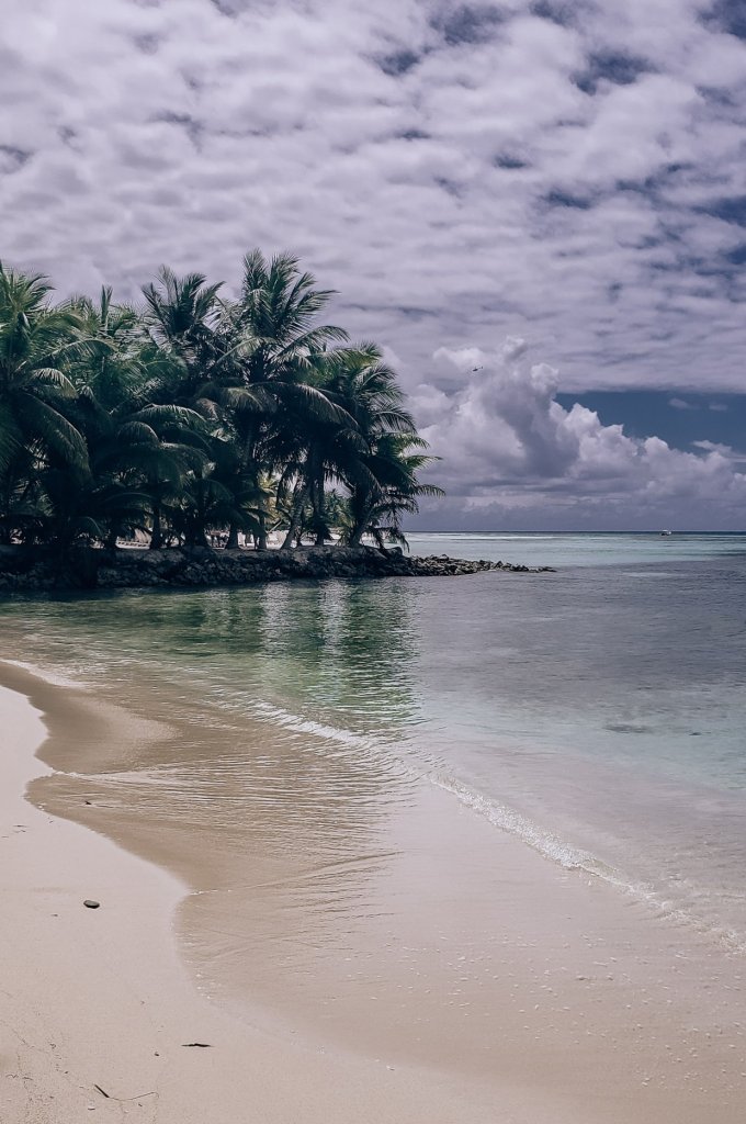 Saona Island Dominican Republic - a beach view worth the trip!