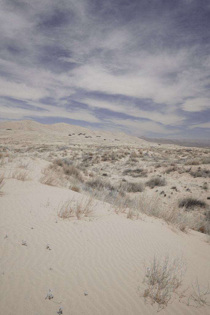 Kelso Dunes in the Mojave National Preserve - one of The Best day trips from Palm Springs.