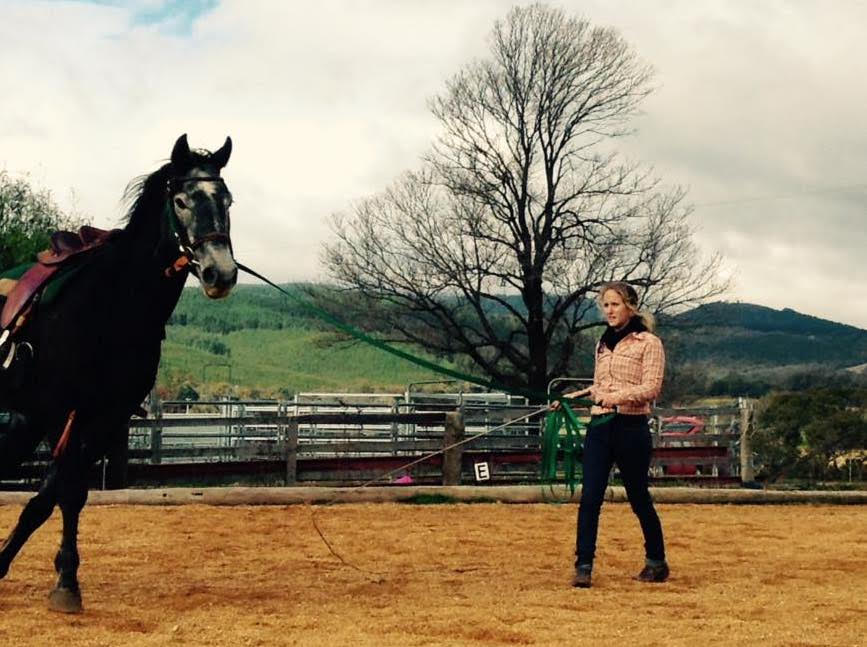 Caitlin training horses in Australia, where she was teaching horseback riding abroad.