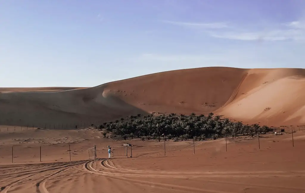 A date farm oasis in the middle of the Liwa Desert