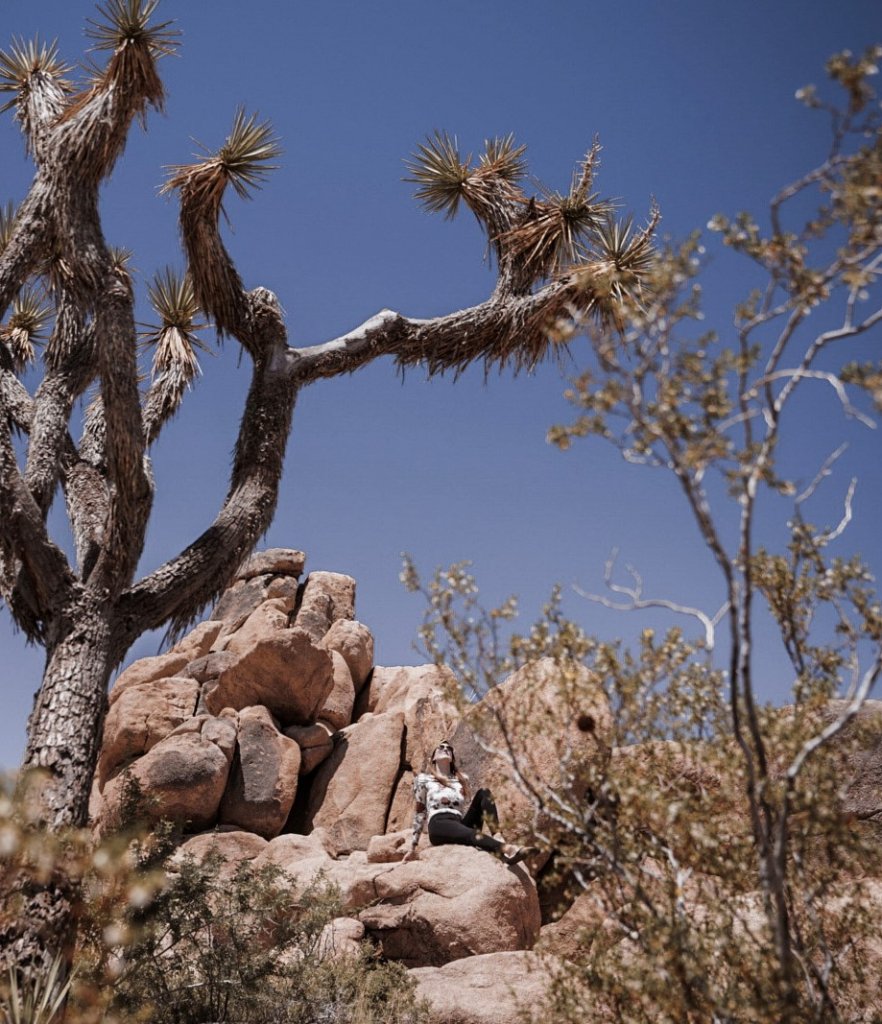 Monica under blue skies and surrounded by Joshua Trees and large boulders.