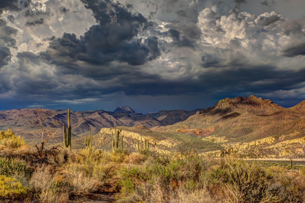 Cloudy skies over saguaro cacti on the California / Arizona road trip.