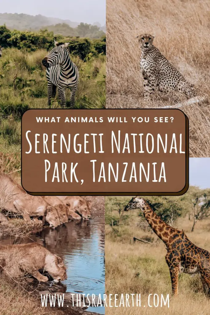 Tanzania Animals List