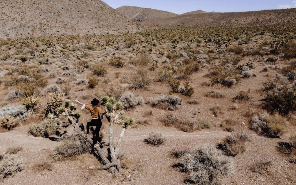 Monica in the desert alone during a road trip hike.