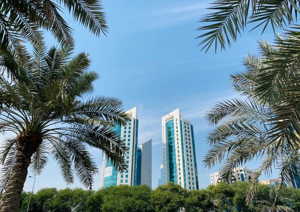 Palm trees in front of buildings in Qatar.