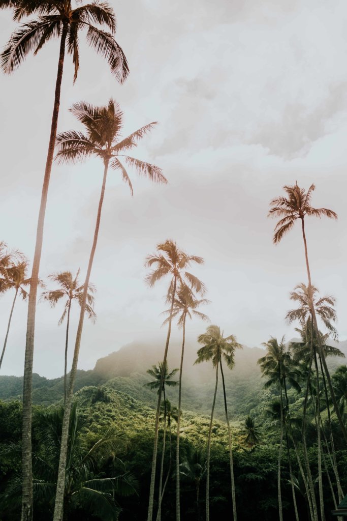 The incredible mountains in Hawaii.