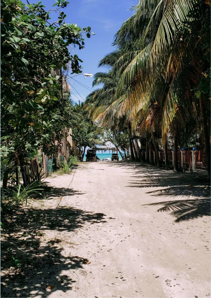 Things to Do in the Yucatan Peninsula: Isla Holbox with green palm trees