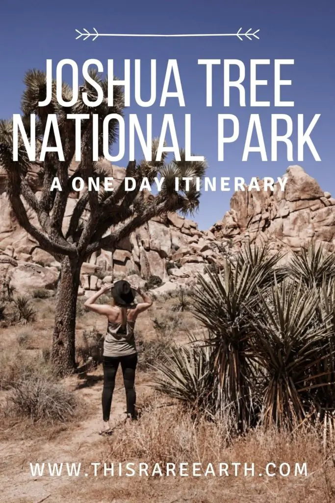Joshua Tree National Park One Day Itinerary Pin