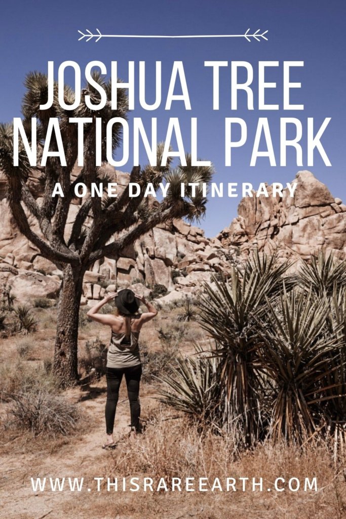 Joshua Tree National Park One Day Itinerary Pin