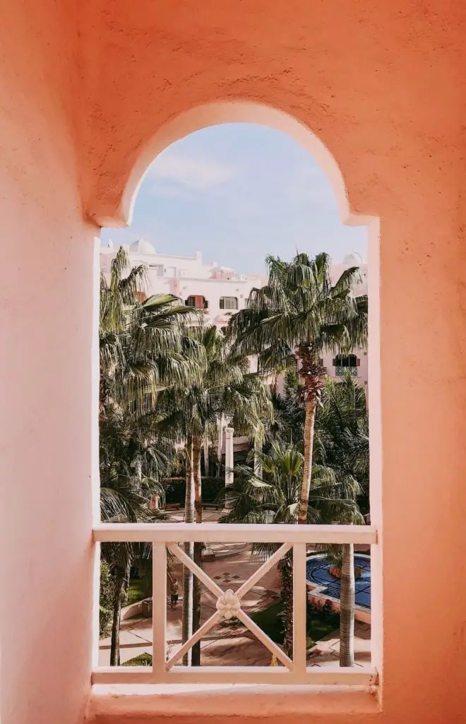 A window overlooking a palm tree covered landscape in San Jose del Cabo, Mexico.