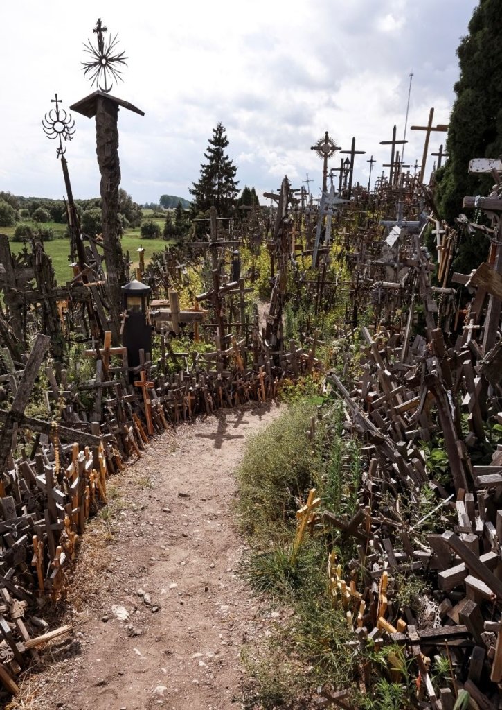 Thousands of crosses.