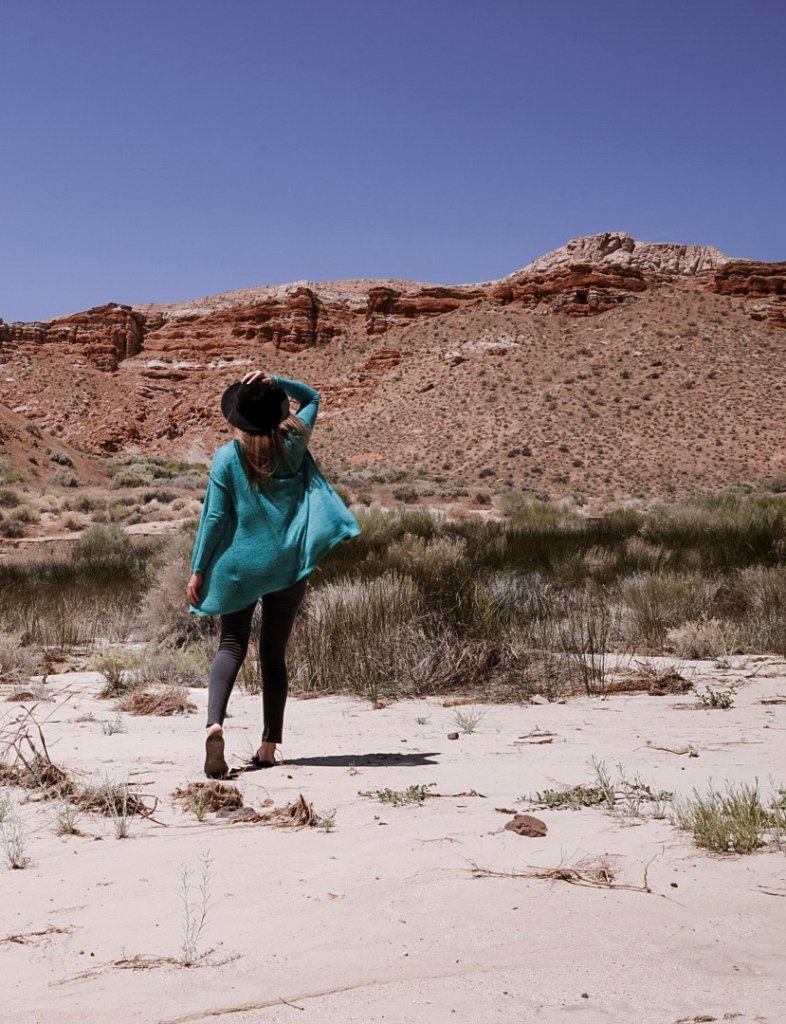 Hiking in the desert in Red Rock Canyon.