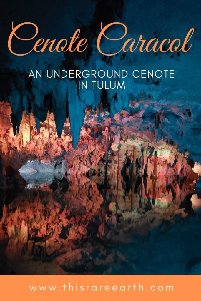 Cenote Caracol: An Underground Cenote in Tulum, full of mystery!  Plan your visit here.