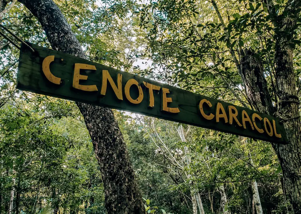 A wooden sign for "Cenote Caracol" in the woods.
