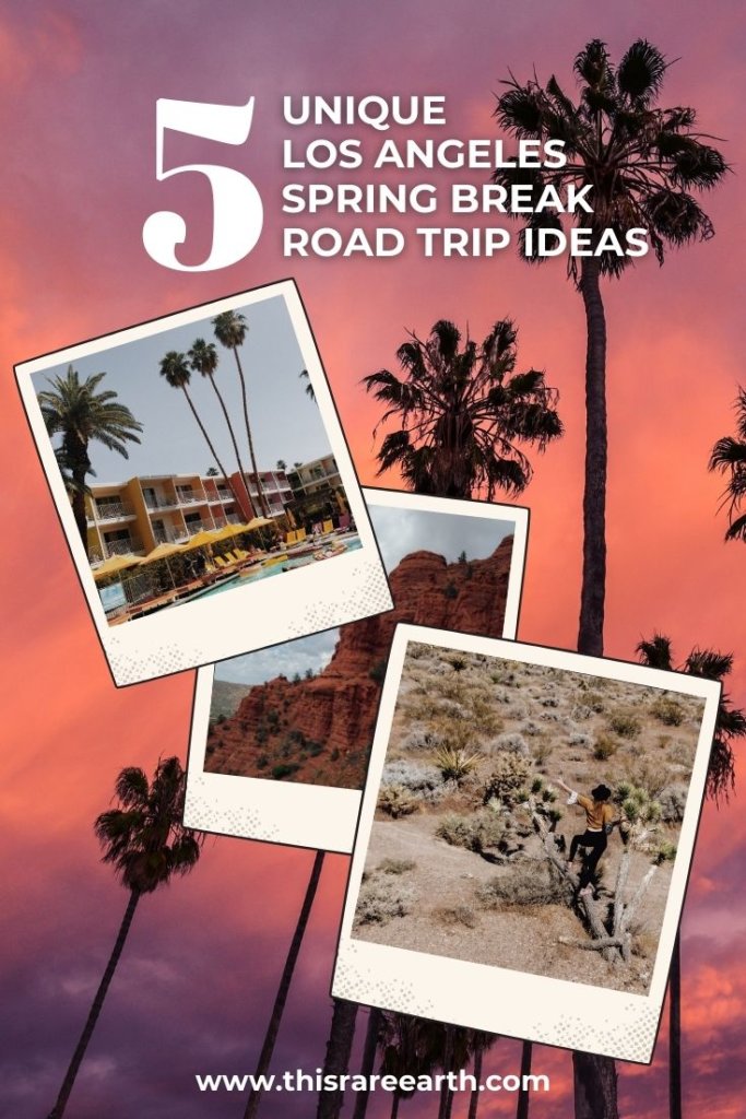 la road trip ideas