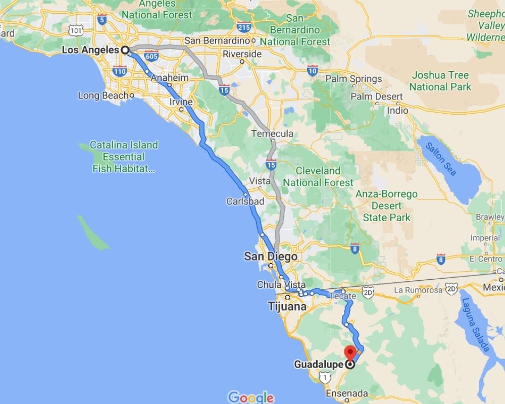 la road trip ideas