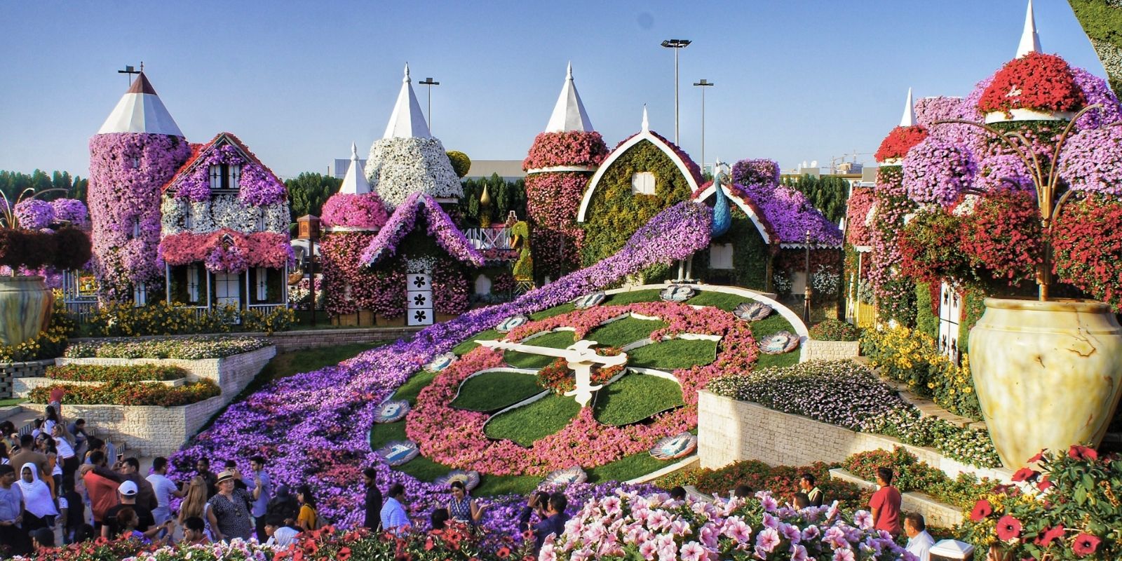 Visiting The Dubai Miracle Garden A Complete Guide This Rare Earth