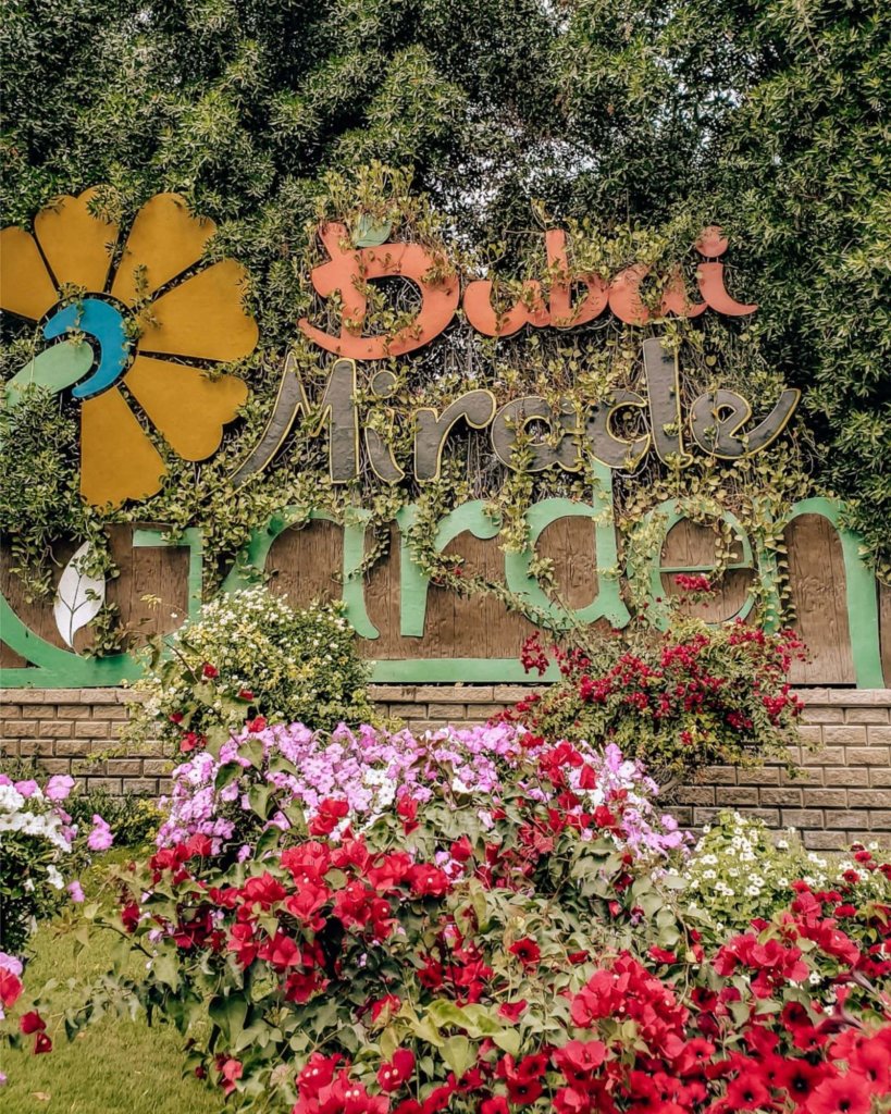 The colorful flowers in front of the Dubai Miracle Garden sign.