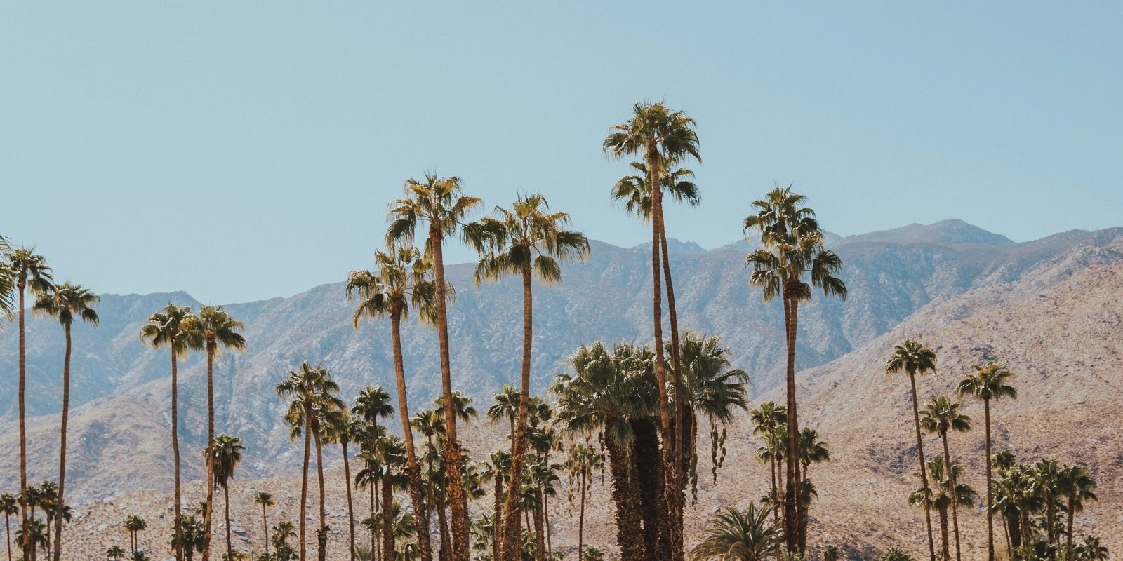 Pin on Eventful Palm Desert