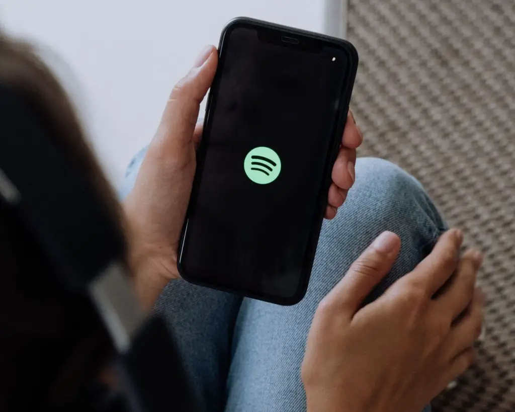 One of the best travel app's logo - Spotify.