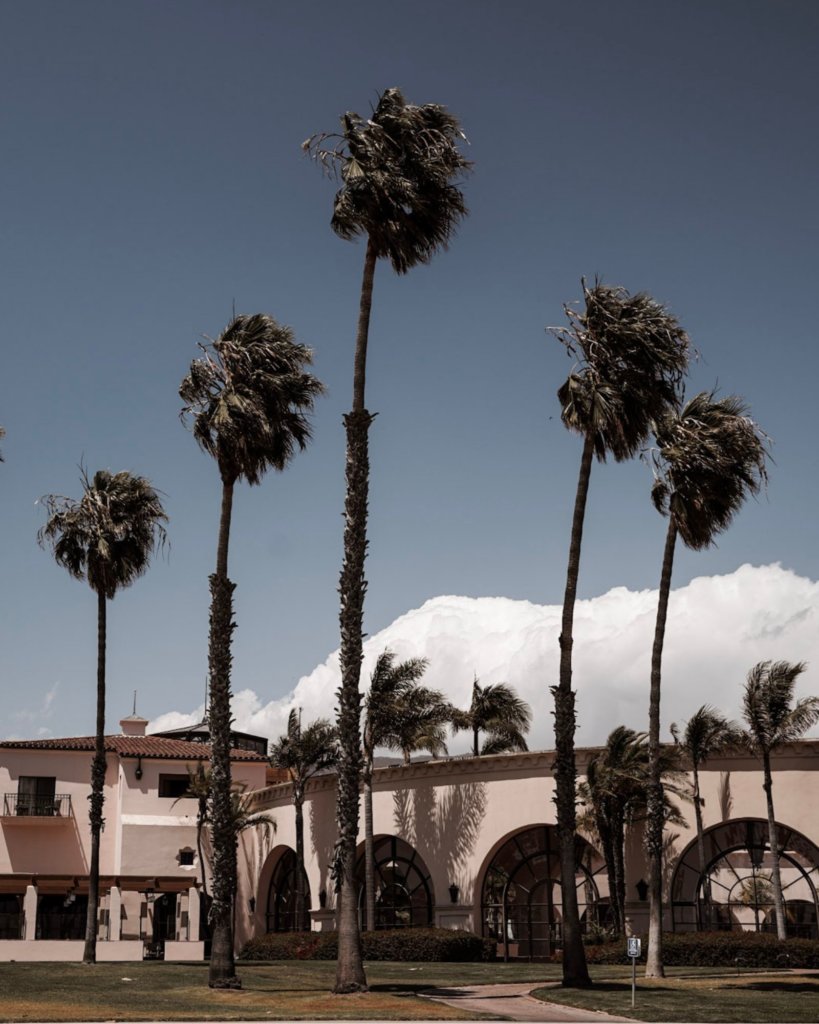 Palm trees stacked in front of Spanish Colonial architecture, on a Santa Barbara Day Trip.