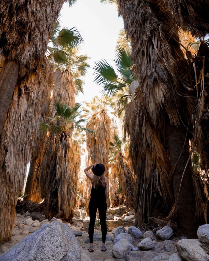 Monica on the Andreas Canyon Trail Hike - the lush green Andreas Canyon Creek in Palm Springs.