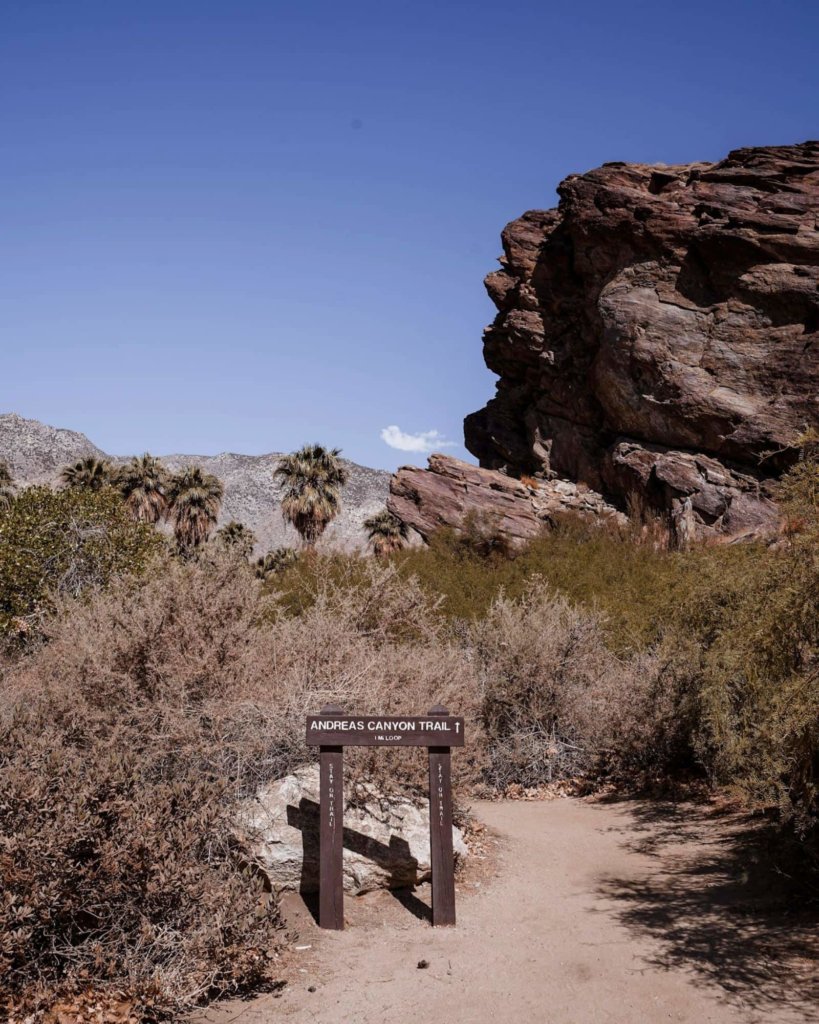 The entrance to the Andreas Canyon Trail Hike.