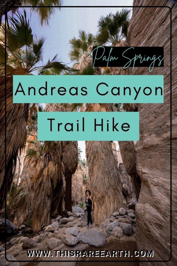 The Andreas Canyon Trail Hike - Hiking Andreas Canyon in Palm Springs.