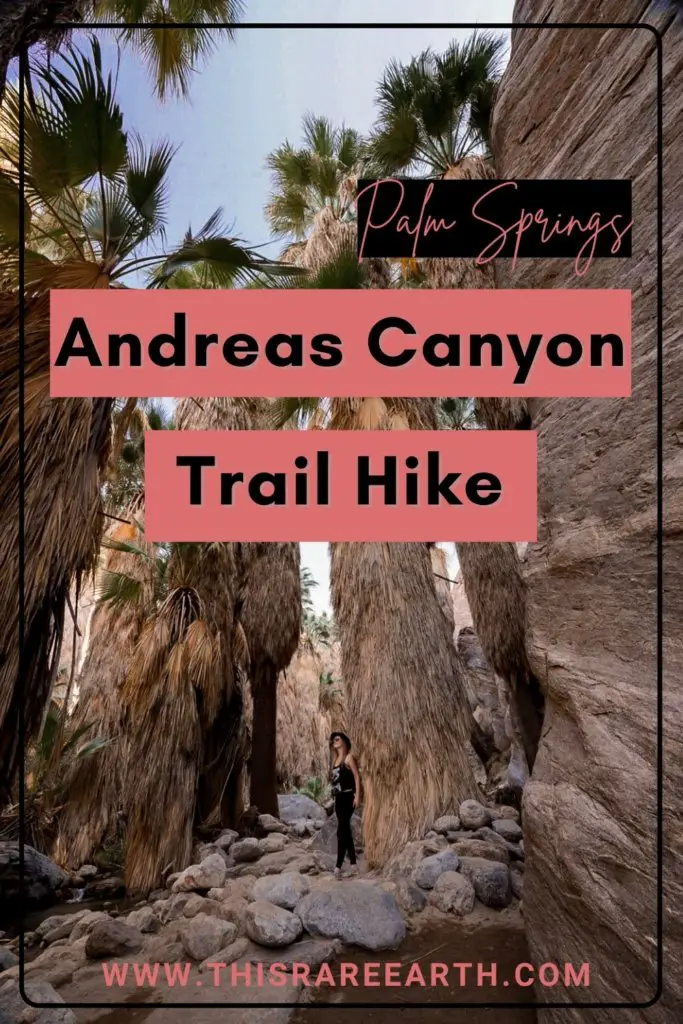 Andreas Canyon Trail Hike Hiking -Andreas Canyon Palm Springs Pin