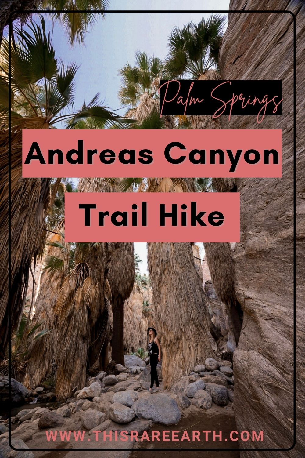 The Andreas Canyon Trail Hike in Palm Springs - This Rare Earth