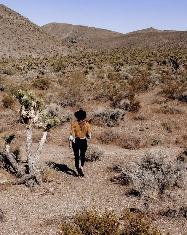 Monica hiking in the dry desert, using desert hiking safety tips.