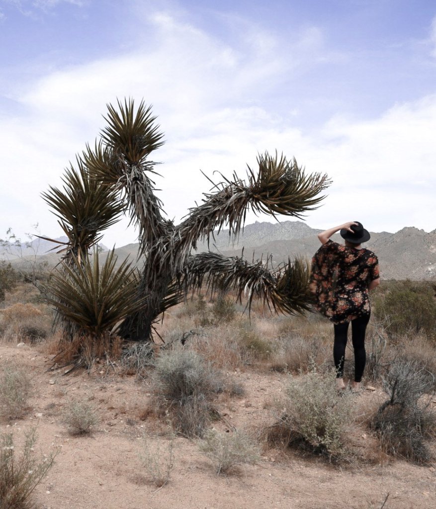 Monica at the Mojave National Preserve Joshua Tree Forest.