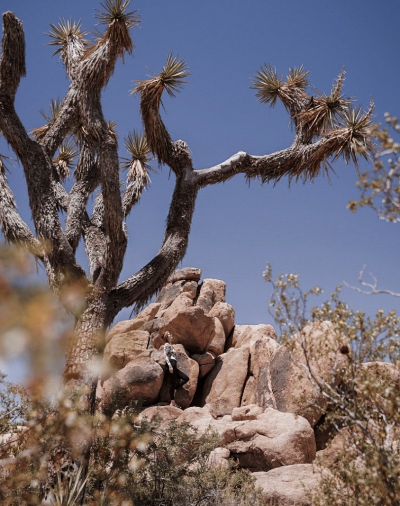 Enjoying the scenery on a one day trip to Joshua Tree National Park.