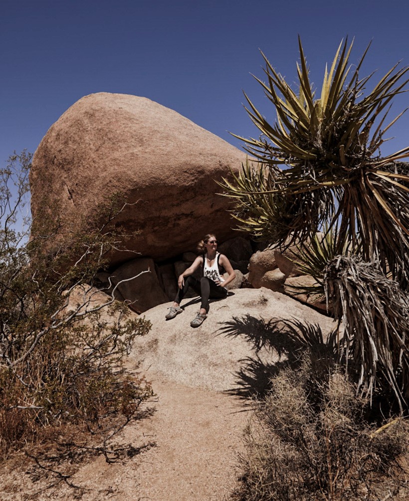 Finding a quiet corner early in the morning to beat the Drawbacks of Visiting Joshua Tree.