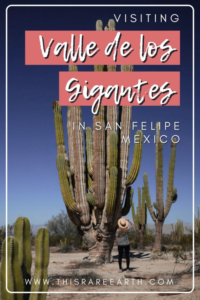 Visiting Valle de los Gigantes in San Felipe, Baja California Pin 