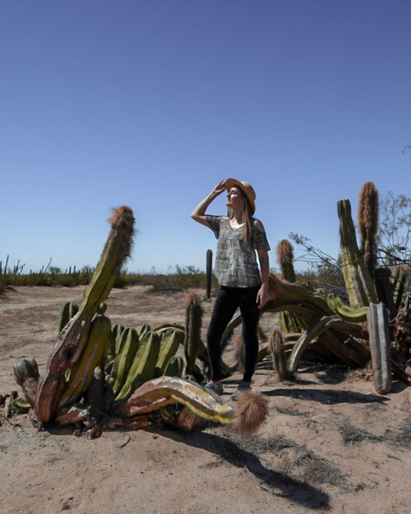 Monica Visiting the smaller cactus species of Valle de los Gigantes in San Felipe, Baja California.