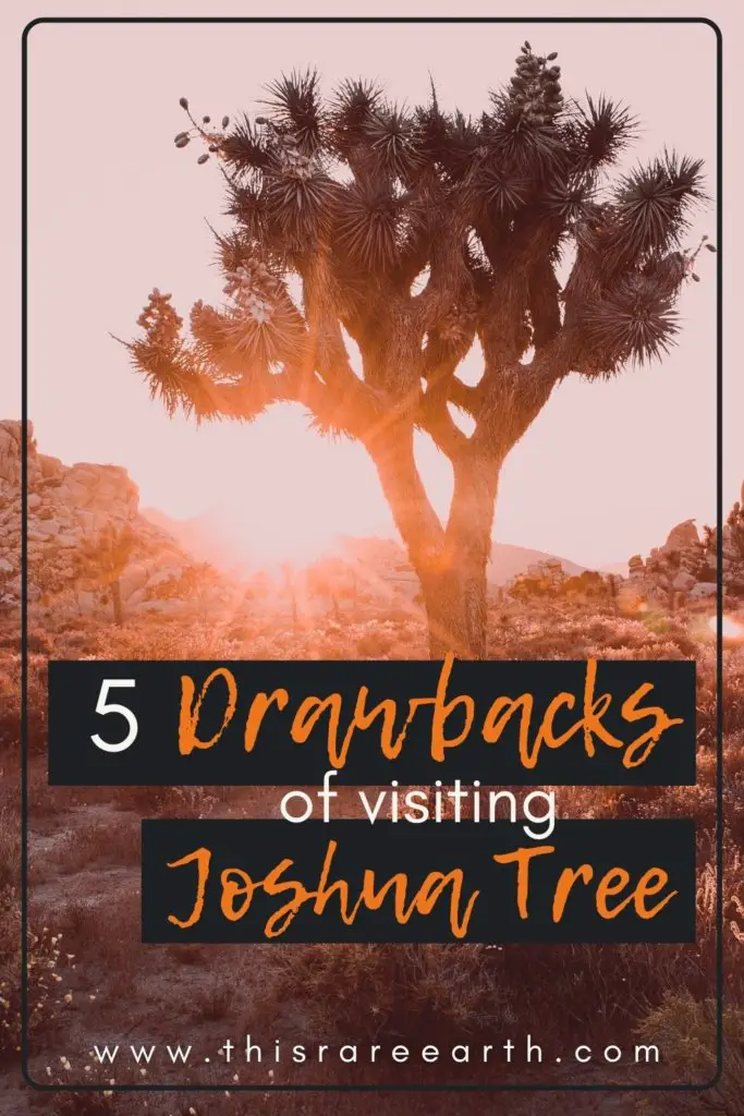5 Drawbacks of Visiting Joshua Tree pin.