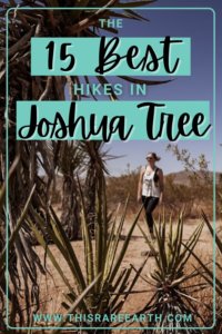 The 15 Best Hikes In Joshua Tree National Park - This Rare Earth