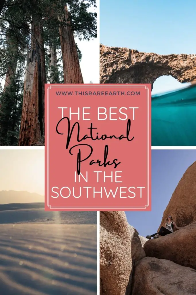 The best national parks in the southwest!  Pictured: Joshua Tree, White Sands, Channel Islands and Sequoia.