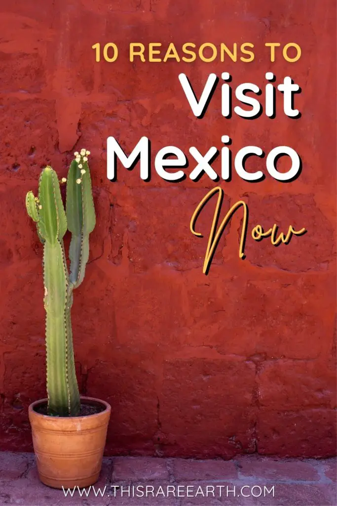Reasons to Visit Mexico Now! Pinterest