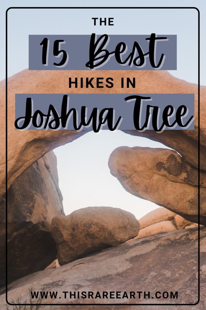 The 15 Best Hikes in Joshua Tree pin.