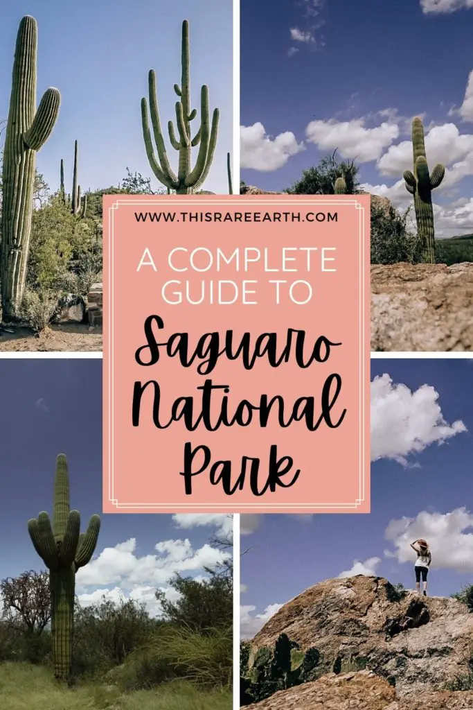 A Complete Guide to Visiting Saguaro National Park.