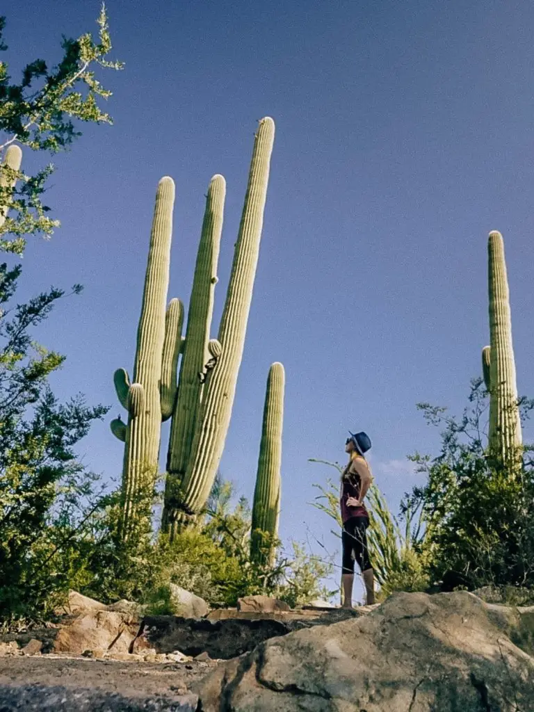 Monica on one of the best Saguaro National Park hiking trails.