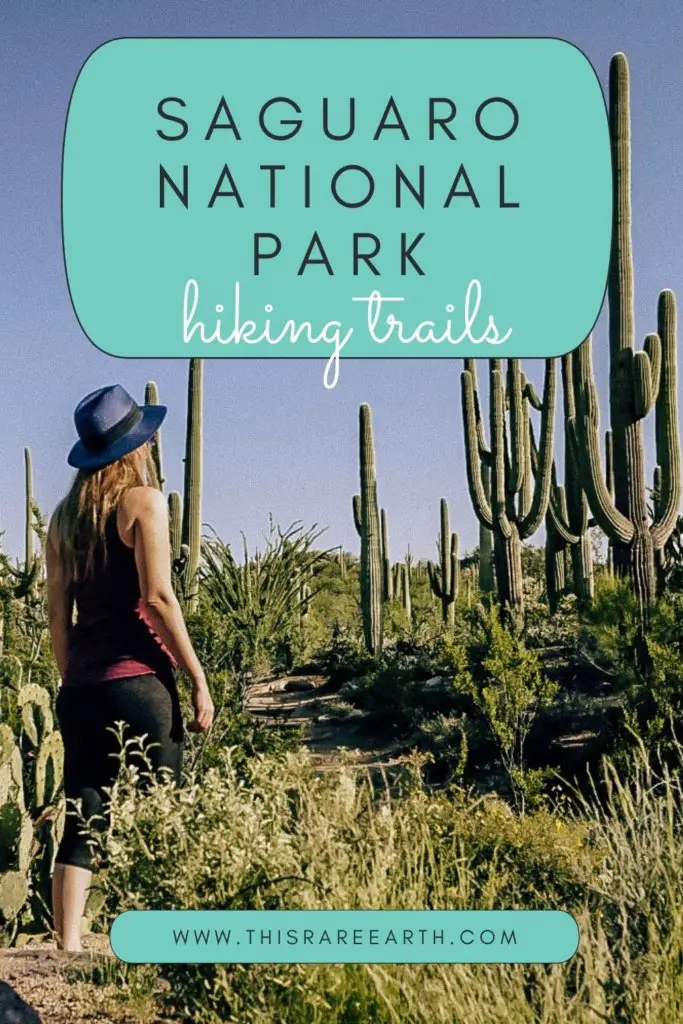 Saguaro National Park hiking trails pin.