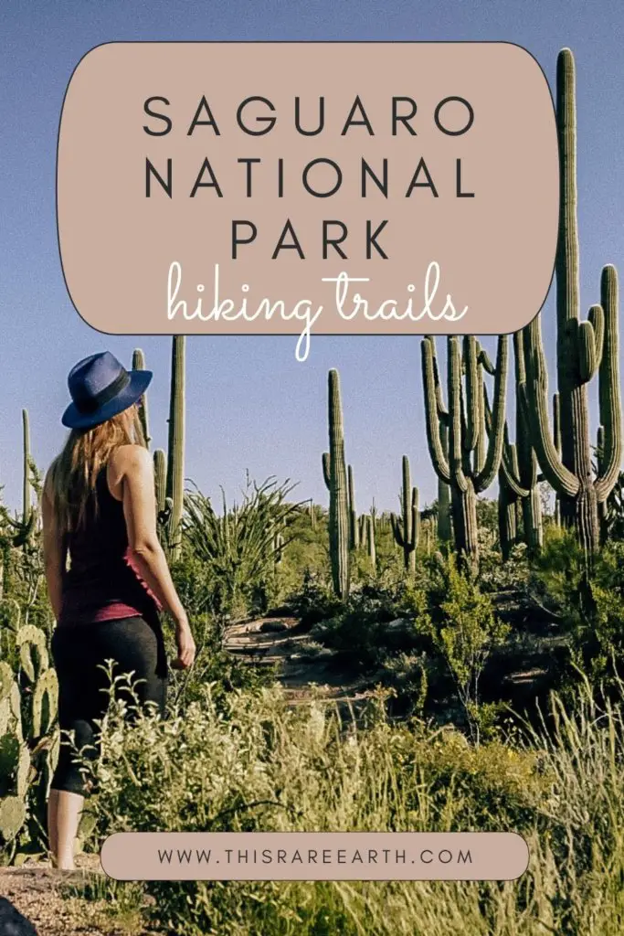 A Saguaro National Park hiking trails pin featuring Monica walking through tall cacti.