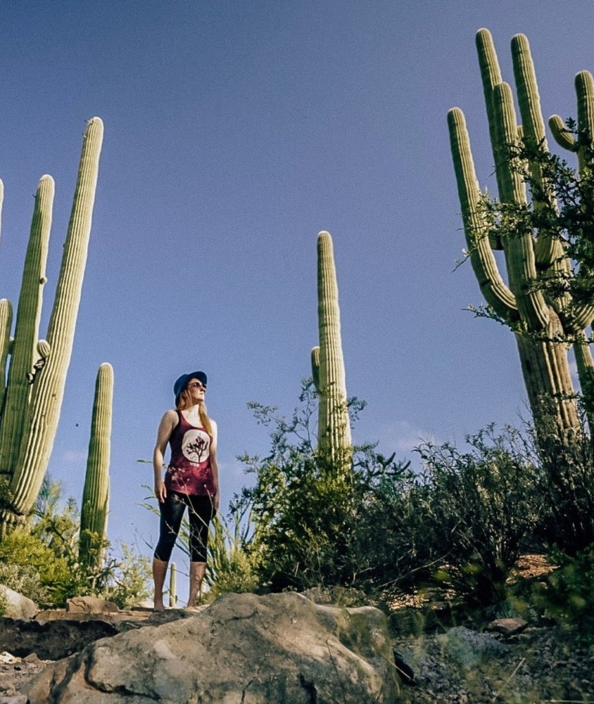 On the hiking trails at Saguaro National Park.