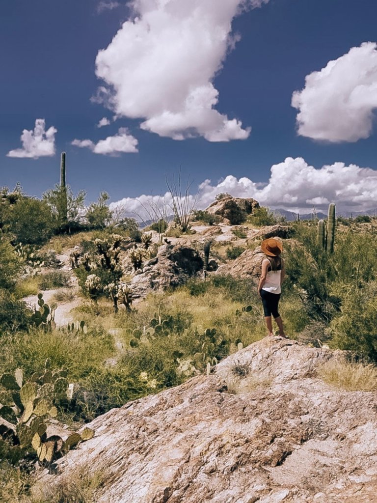 Monica at a lookout in Saguaro National Park East, one of the best Things To Do In Tucson, Arizona.