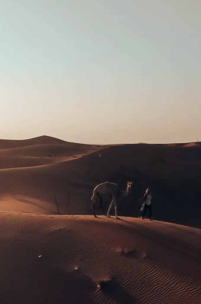 Abu Dhabi vs Dubai - the vast orange sand dunes at dusk.